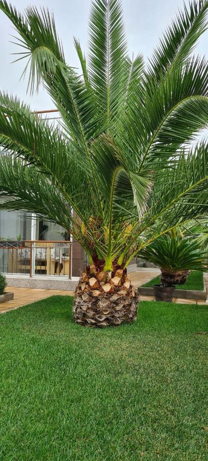 Villa Avdira Paralia Avdhiron Экстерьер фото